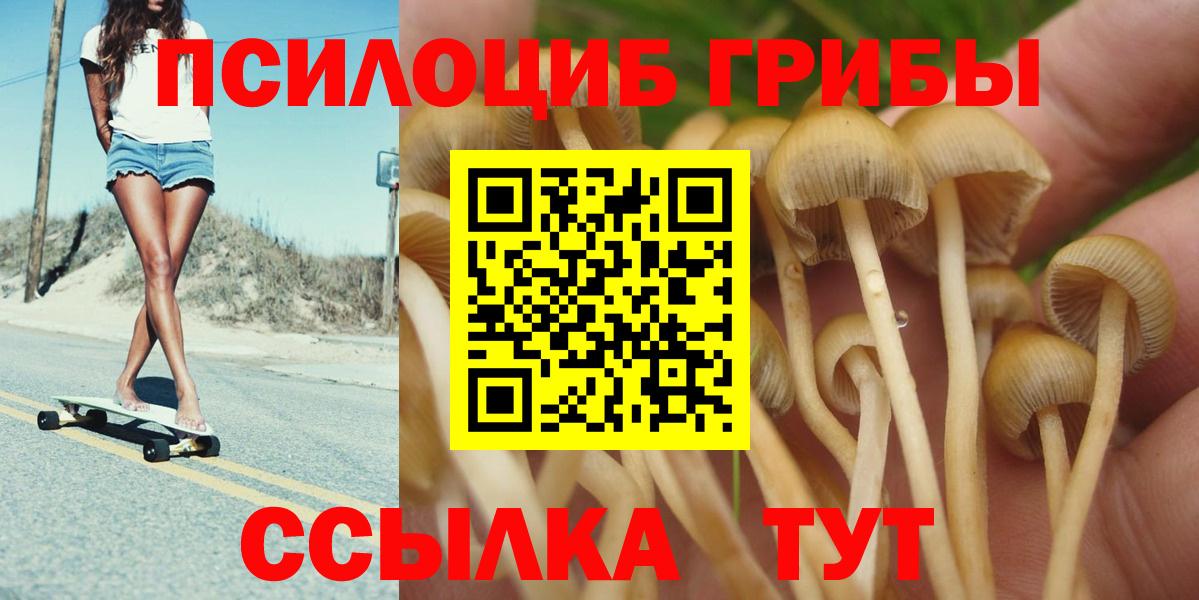 Якутск  продажа наркотиков  Вход с VPN  Псилоцибиновые грибы мицелий  Галлюциногенные грибы Psilocybe 